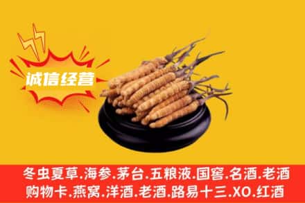 海西天峻县回收冬虫夏草